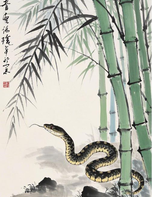 ·经属蛇本命年注意事项千亿网站侯宗原国学易